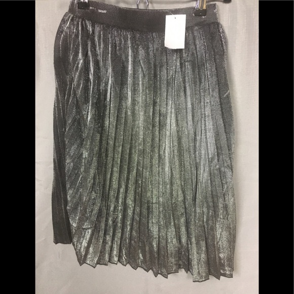 🌟HP🌟 Pleated Metallic Midi Skirt - Picture 8 of 8